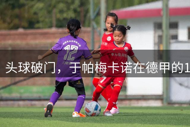 头球破门，于帕梅卡诺在德甲的10粒进球全部来自定位球