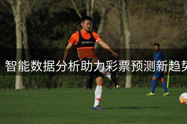 智能数据分析助力彩票预测新趋势